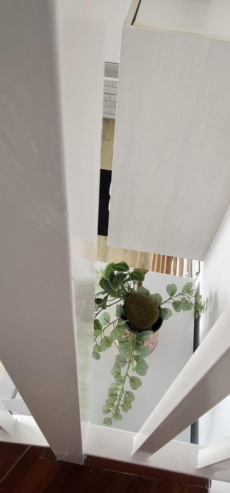 Apartamentos Tocororo Cotillo Exteriör bild